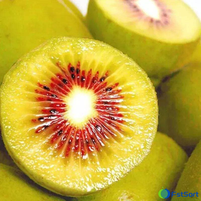 images/1669365935649kiwi fruit sorting machine.jpg